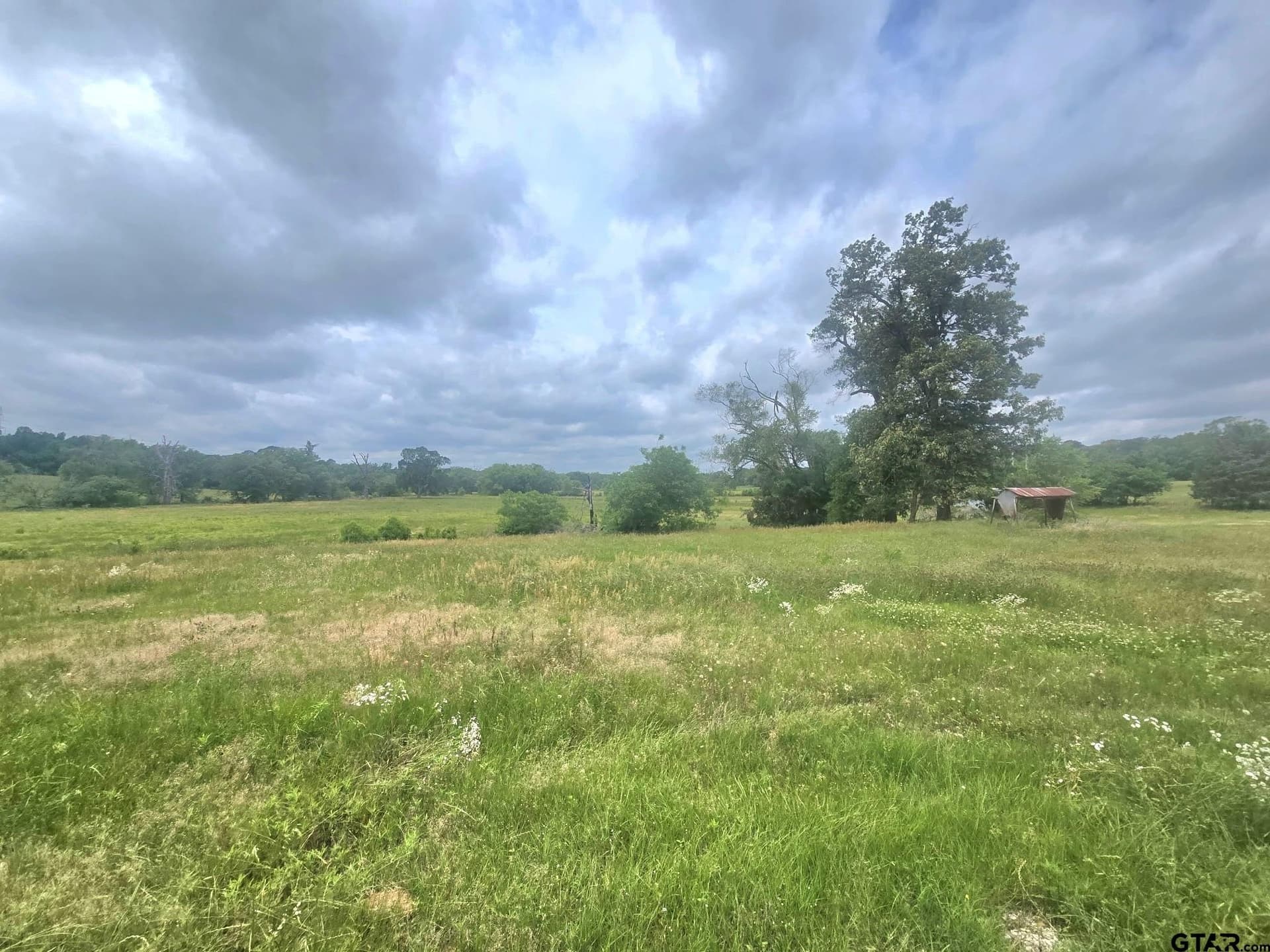 65 acres in Smith County