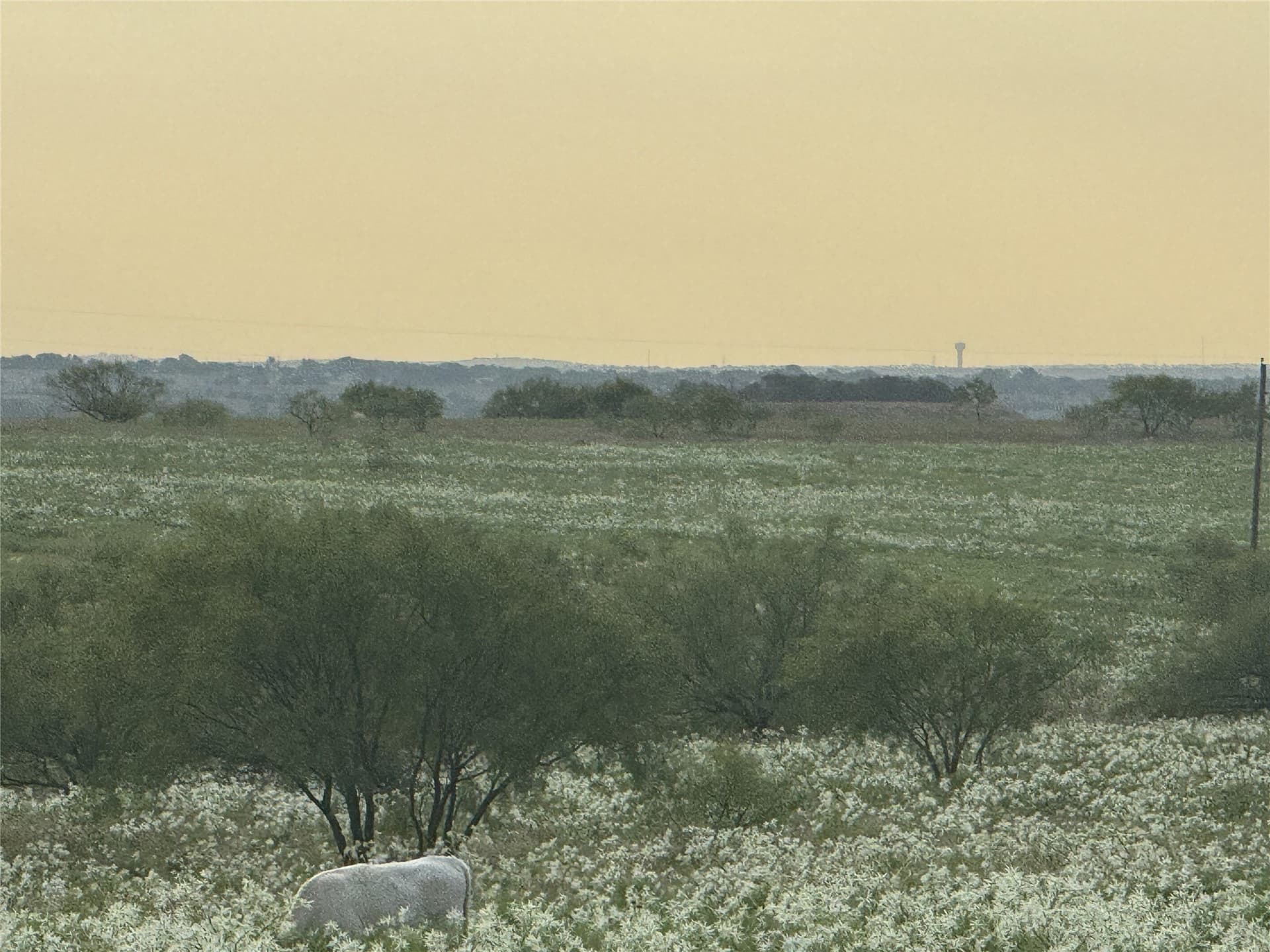 17.1 acres in Wise County - photo 4