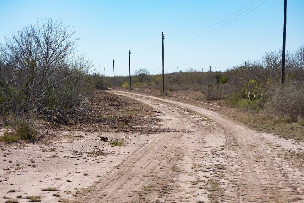 553.66 acres in Duval County gallery image 4