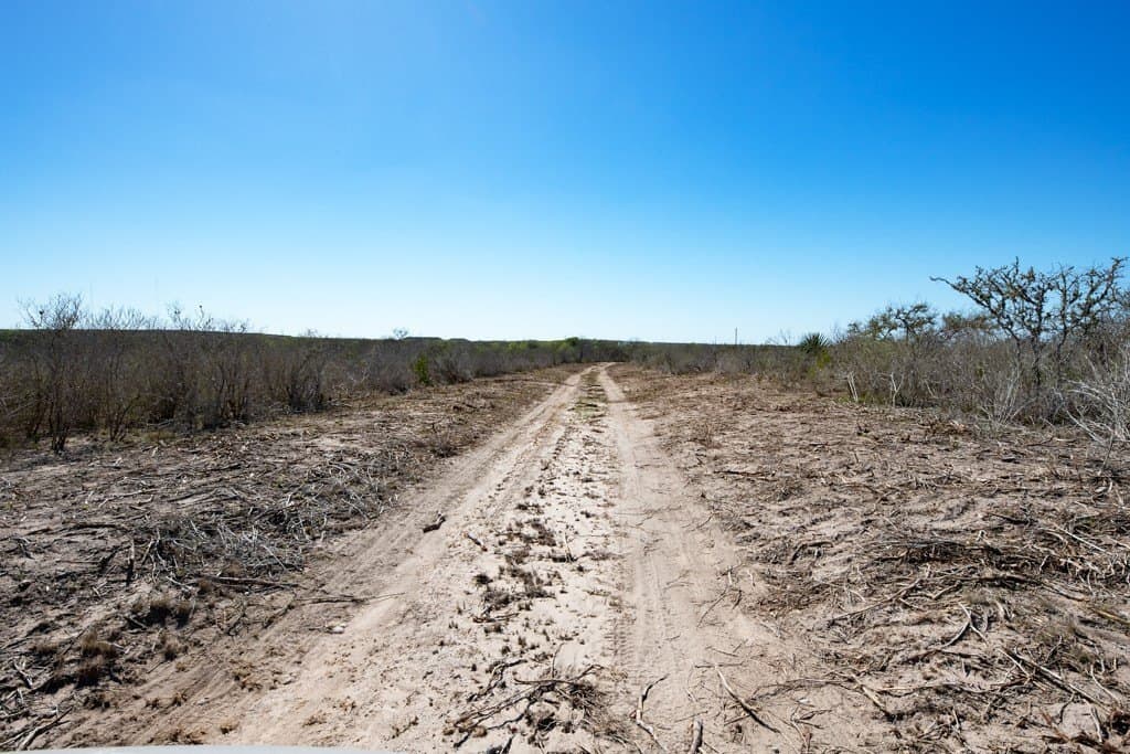 553.66 acres in Duval County - photo 10