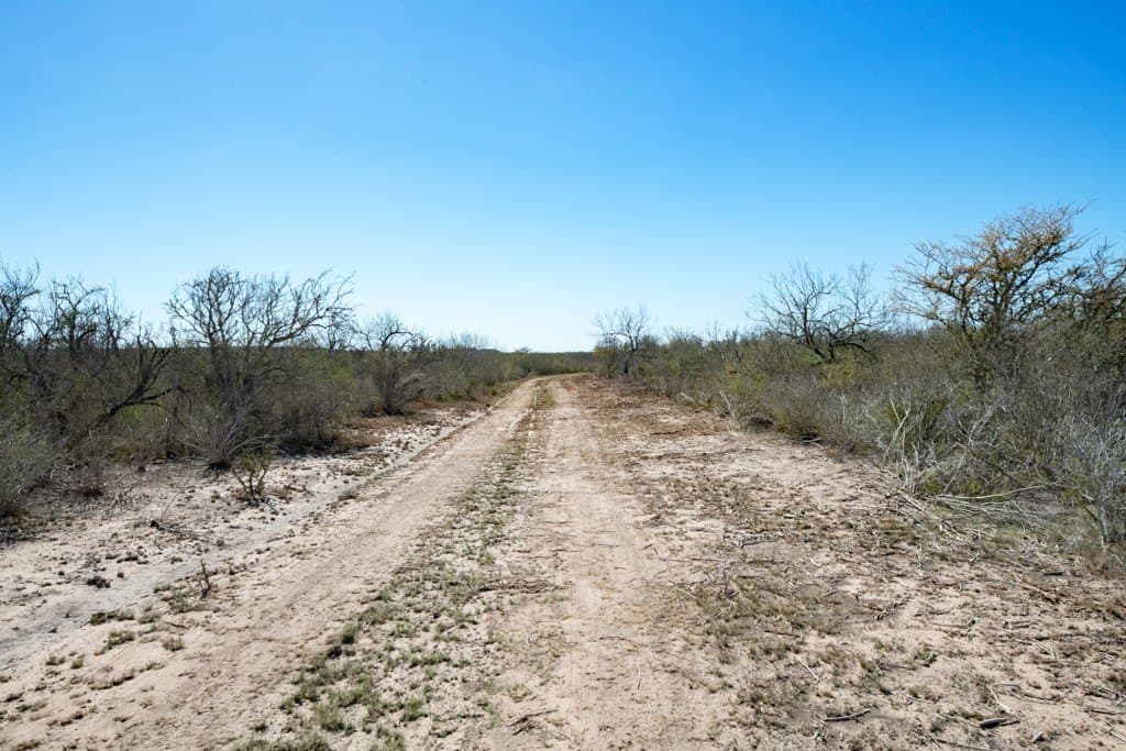 553.66 acres in Duval County - photo 13