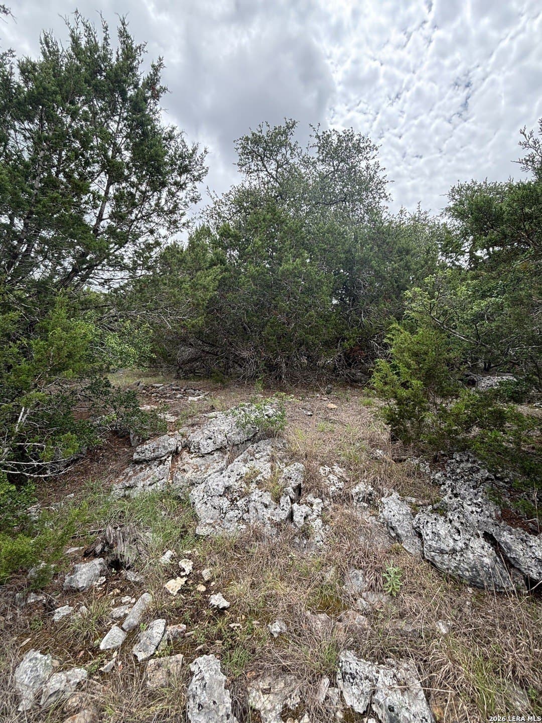 1.06 acres in Comal County gallery image 3