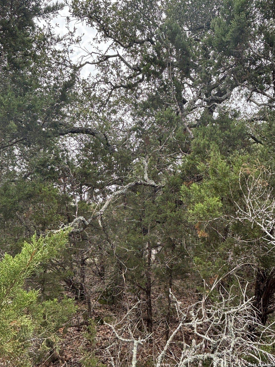 1.06 acres in Comal County featured view