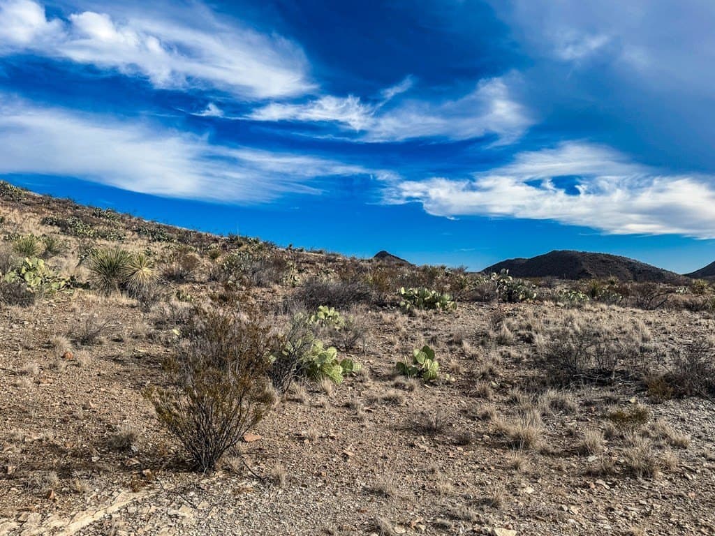 10.06 acres in Brewster County - photo 12