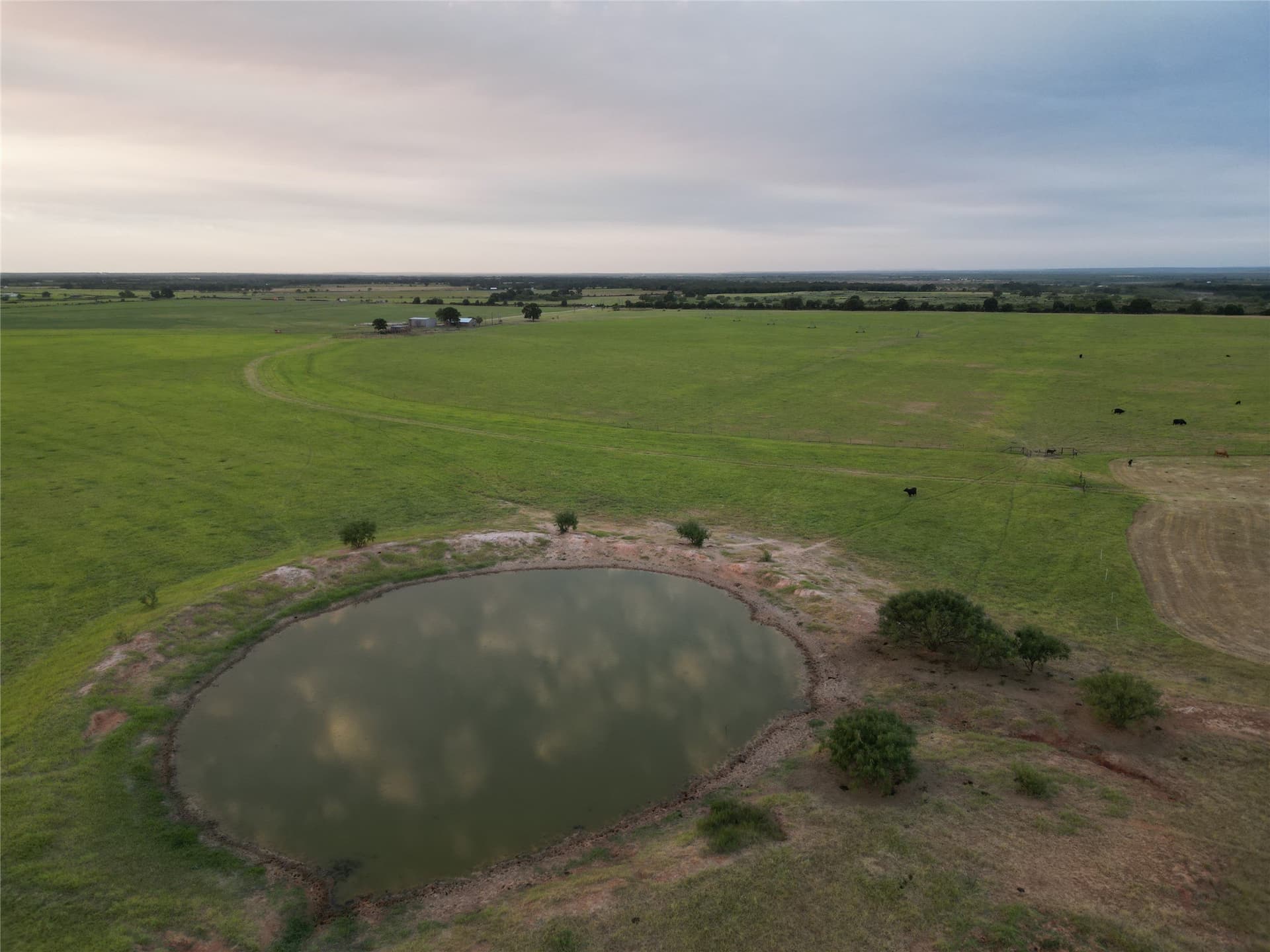 209.91 acres in Callahan County - photo 7