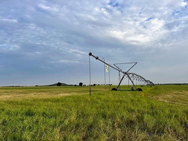 209.91 acres in Callahan County - photo 13