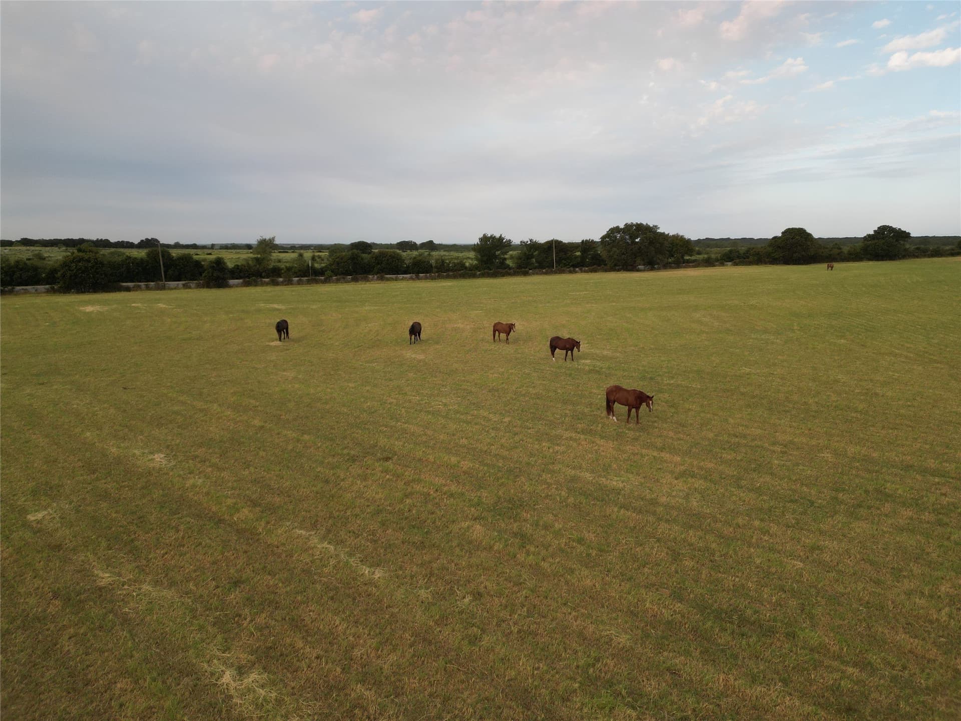209.91 acres in Callahan County - photo 28