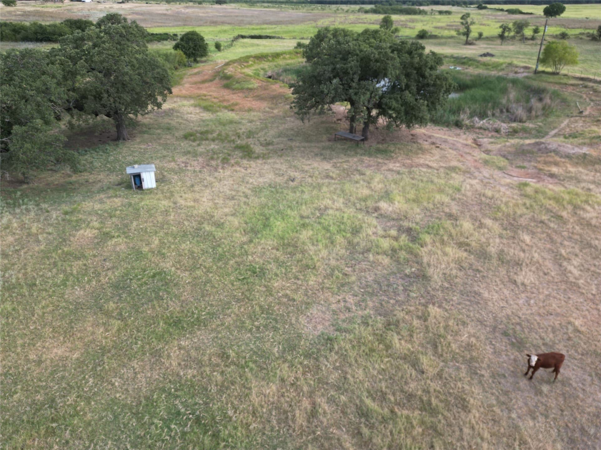 209.91 acres in Callahan County - photo 30