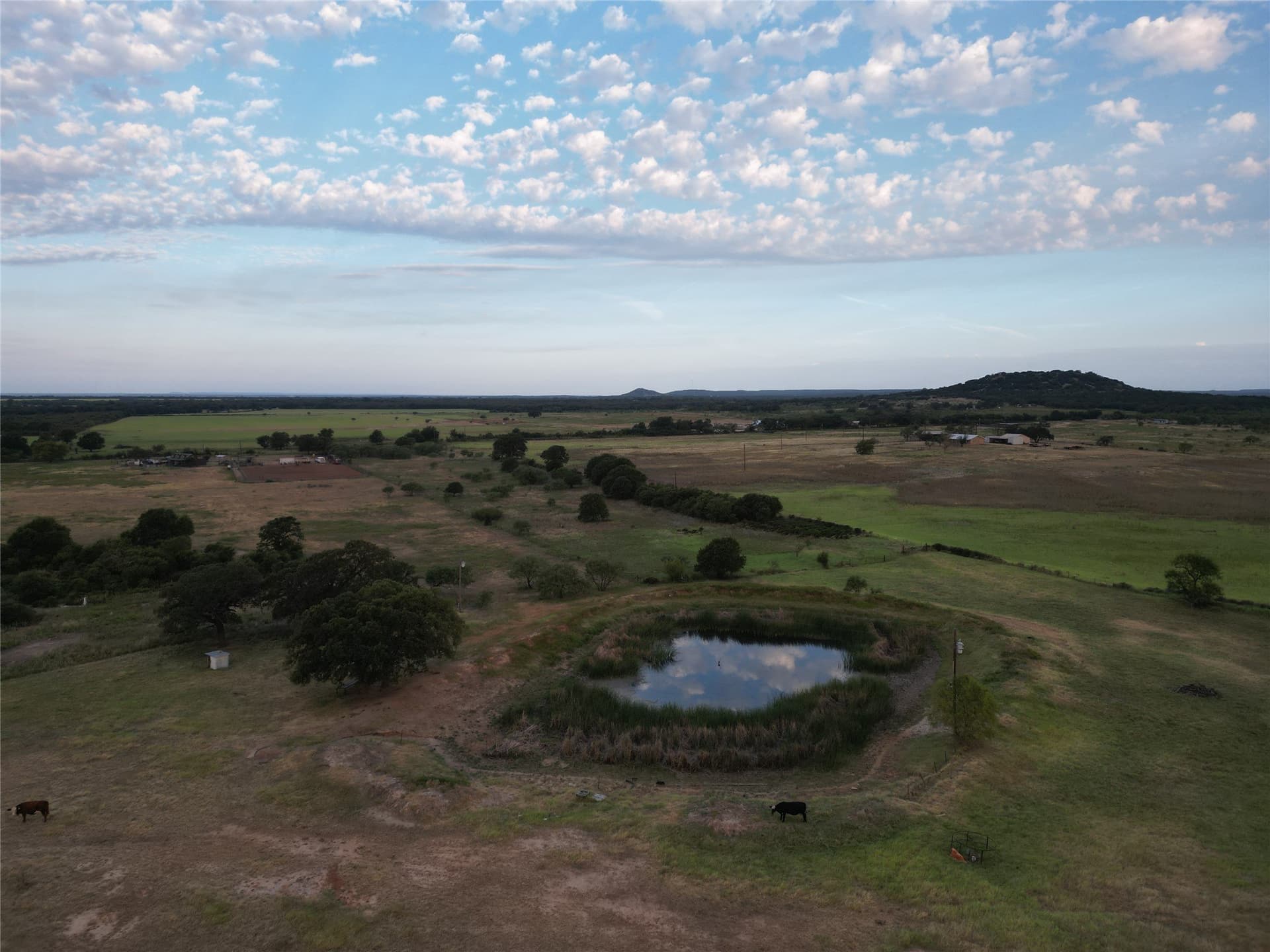 209.91 acres in Callahan County - photo 8