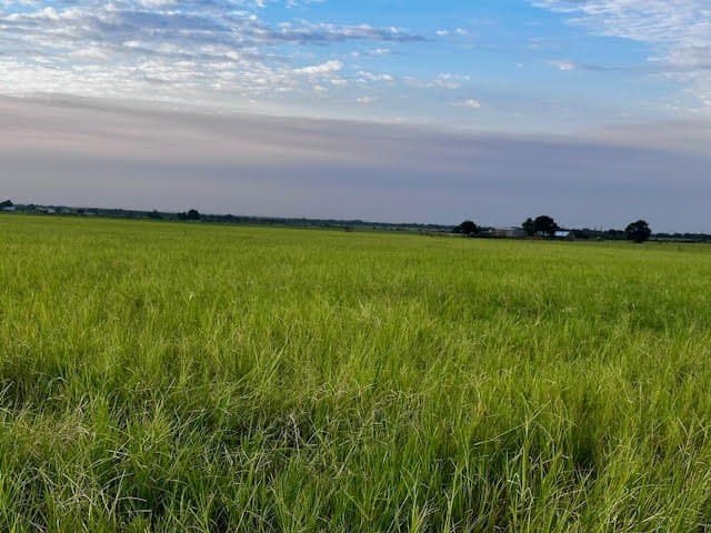 209.91 acres in Callahan County - photo 21