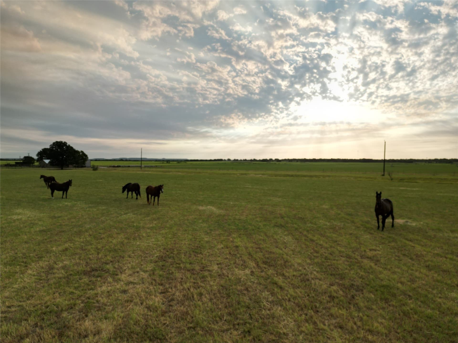 209.91 acres in Callahan County - photo 11