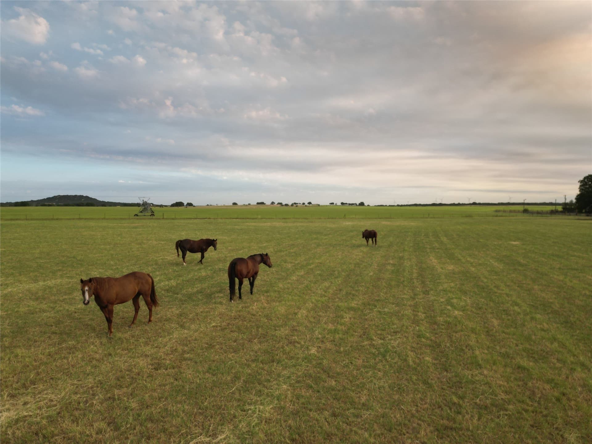 209.91 acres in Callahan County - photo 10