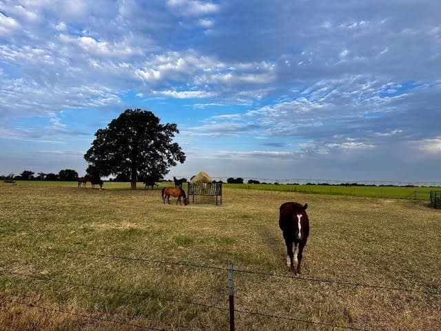 209.91 acres in Callahan County - photo 22