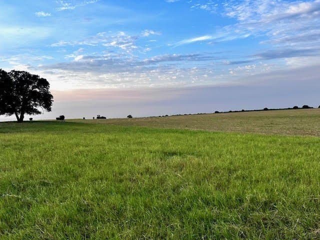 209.91 acres in Callahan County - photo 23