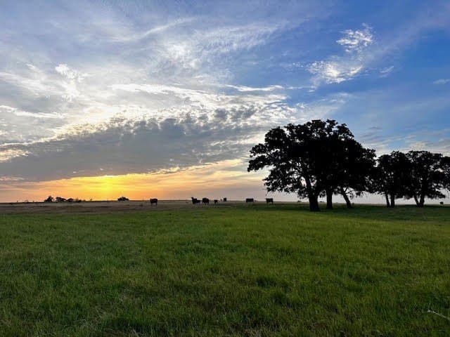 209.91 acres in Callahan County - photo 3