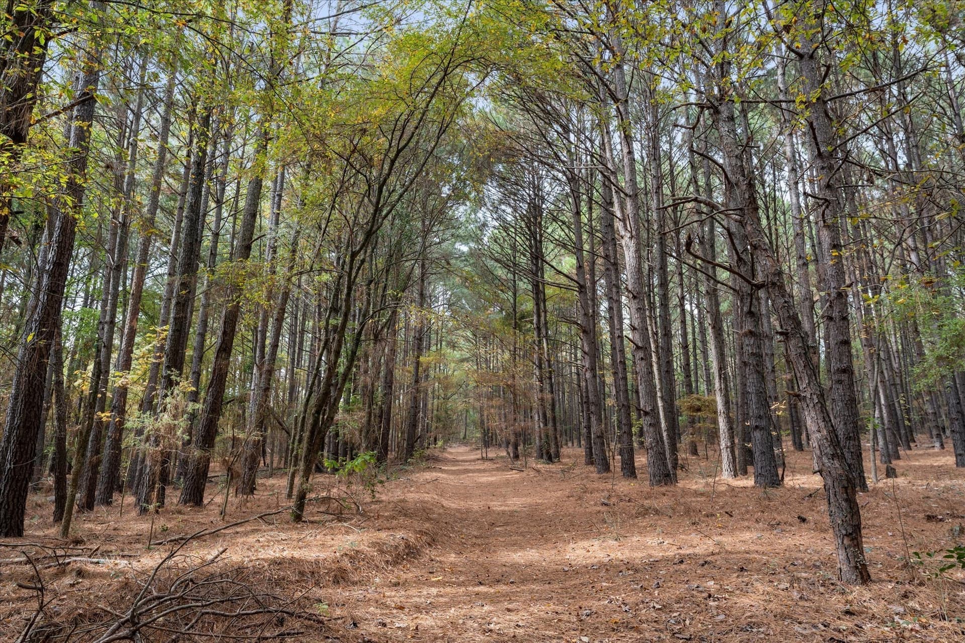 0.35 acres in Morris County - photo 6