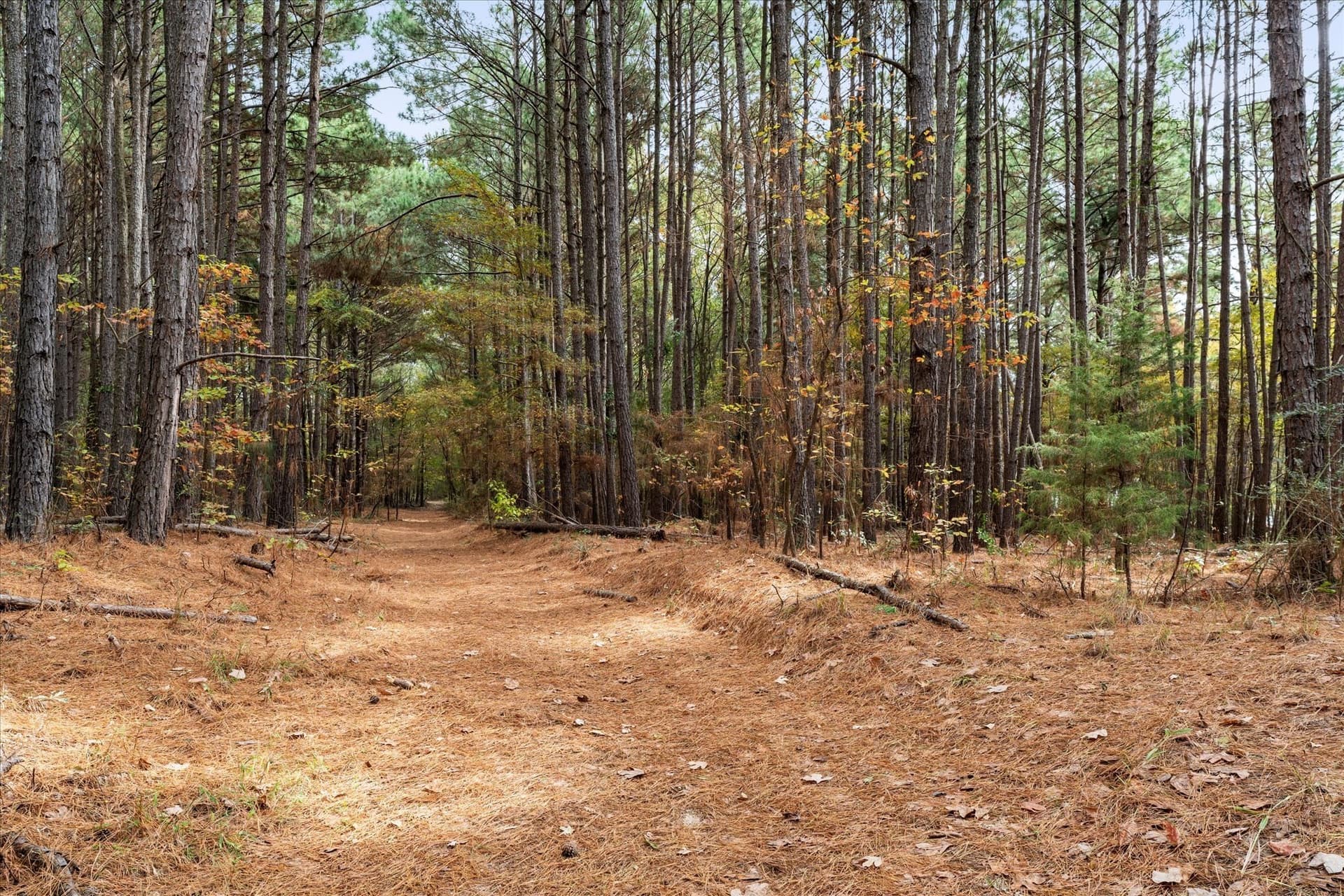 0.35 acres in Morris County - photo 7