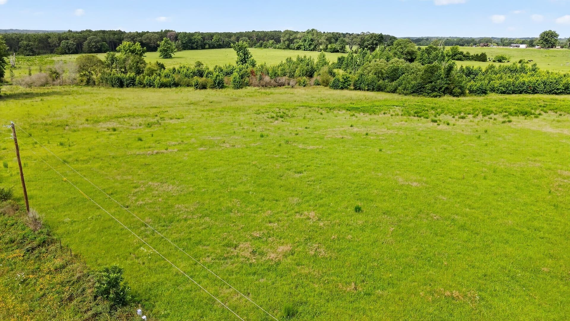 10.09 acres in Cass County - photo 3