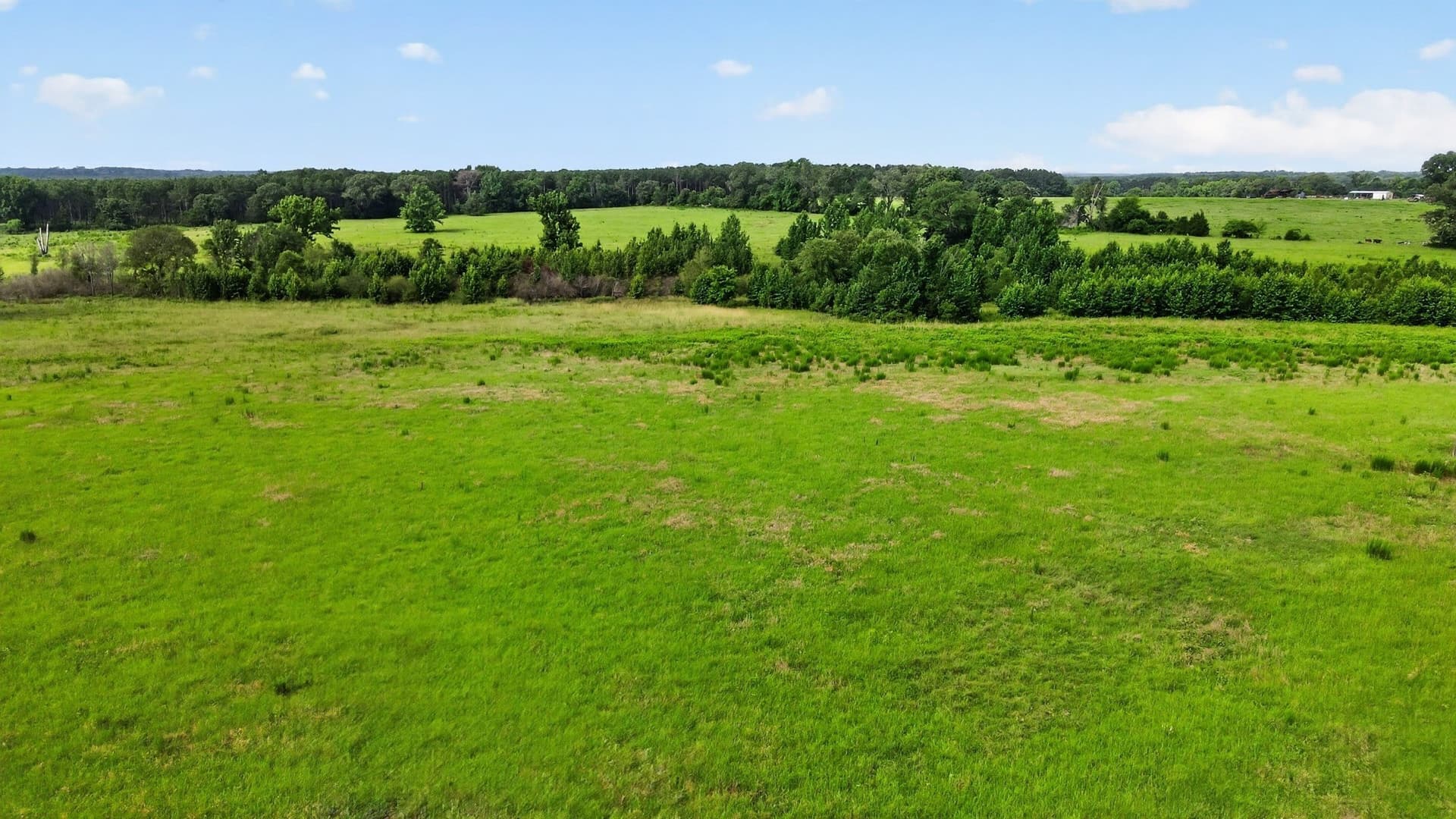 10.09 acres in Cass County - photo 7