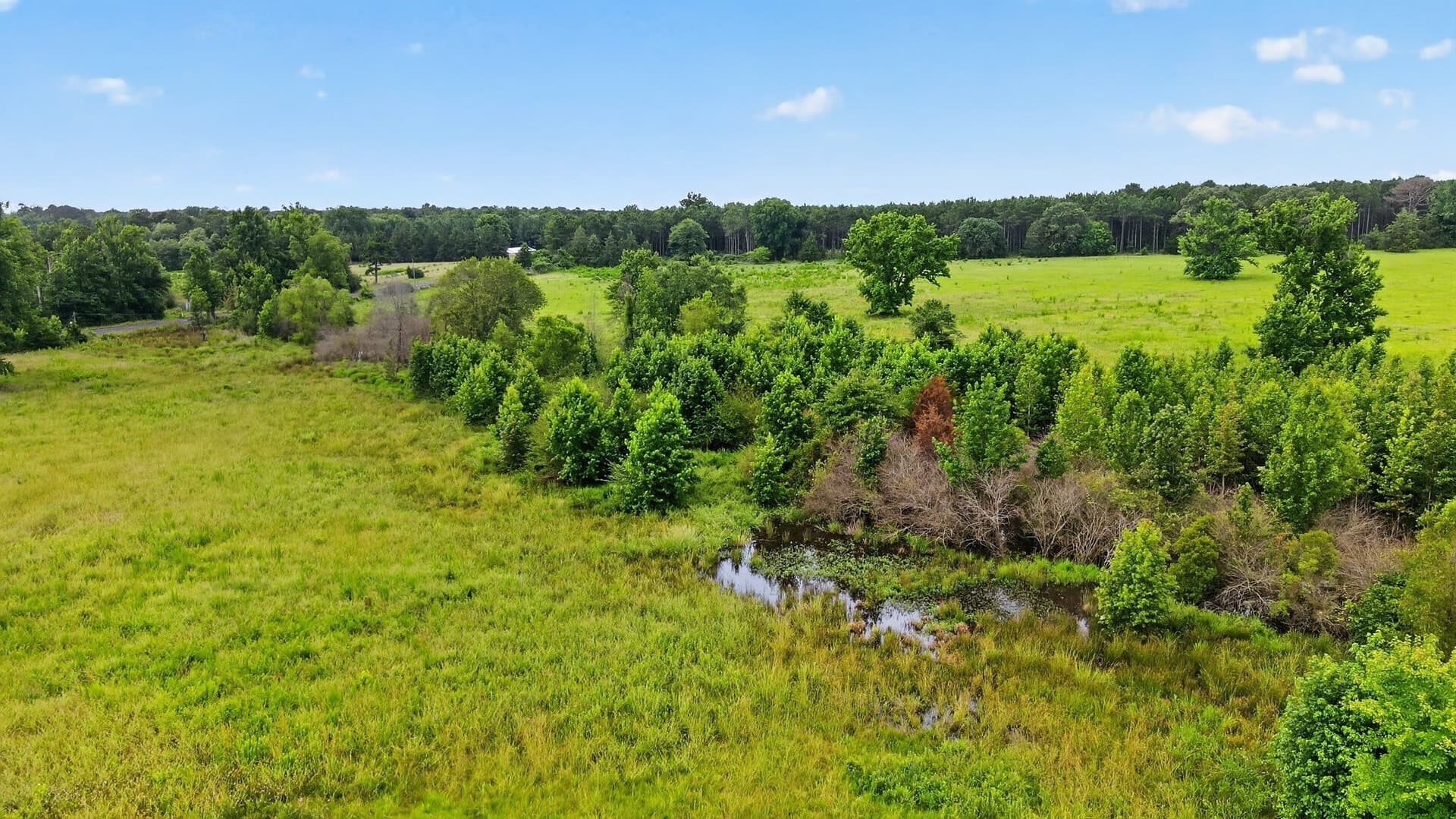10.09 acres in Cass County - photo 5