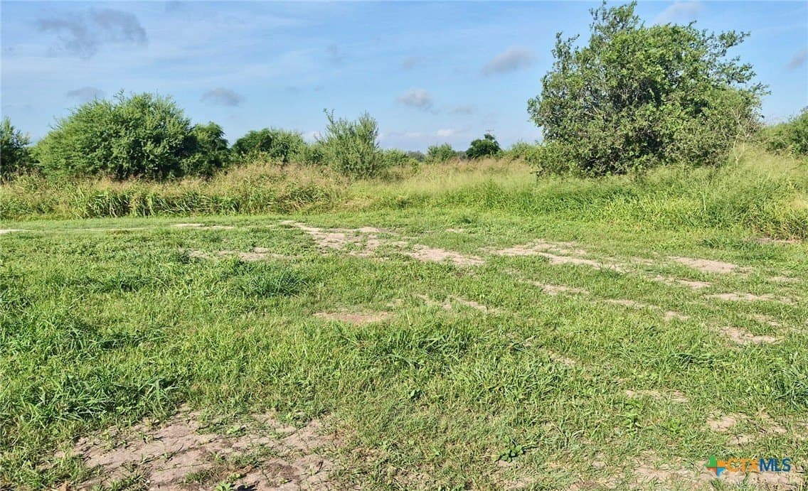 0.31 acres in DeWitt County - photo 8