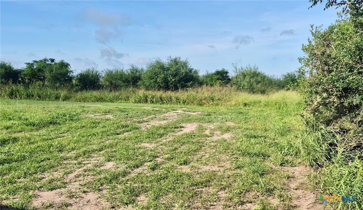 0.31 acres in DeWitt County - photo 4