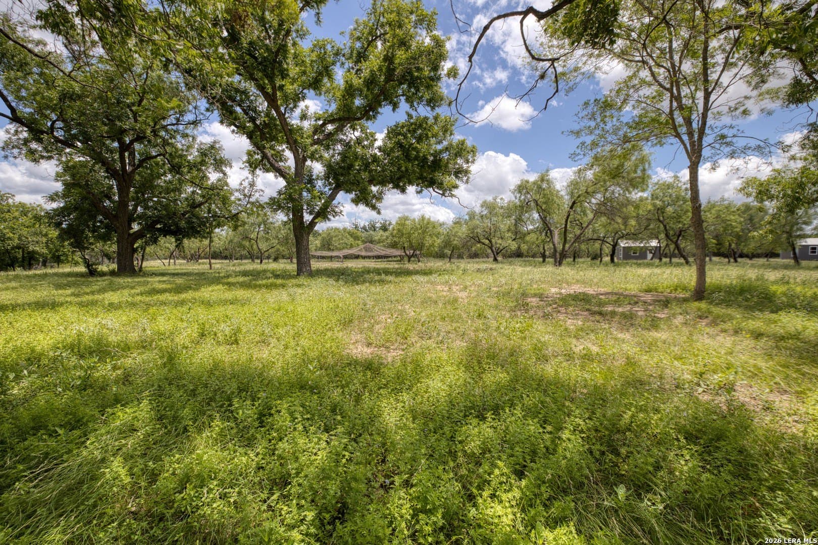 6.44 acres in Edwards County - photo 8