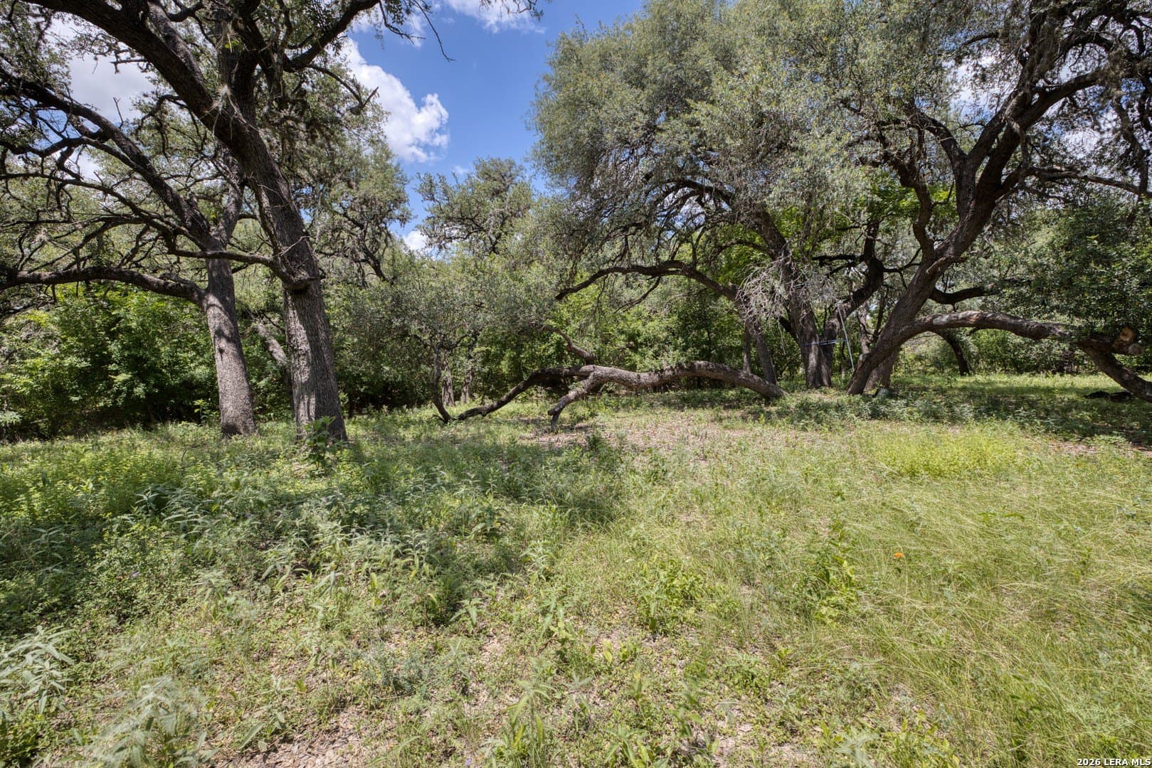 6.44 acres in Edwards County gallery image 4