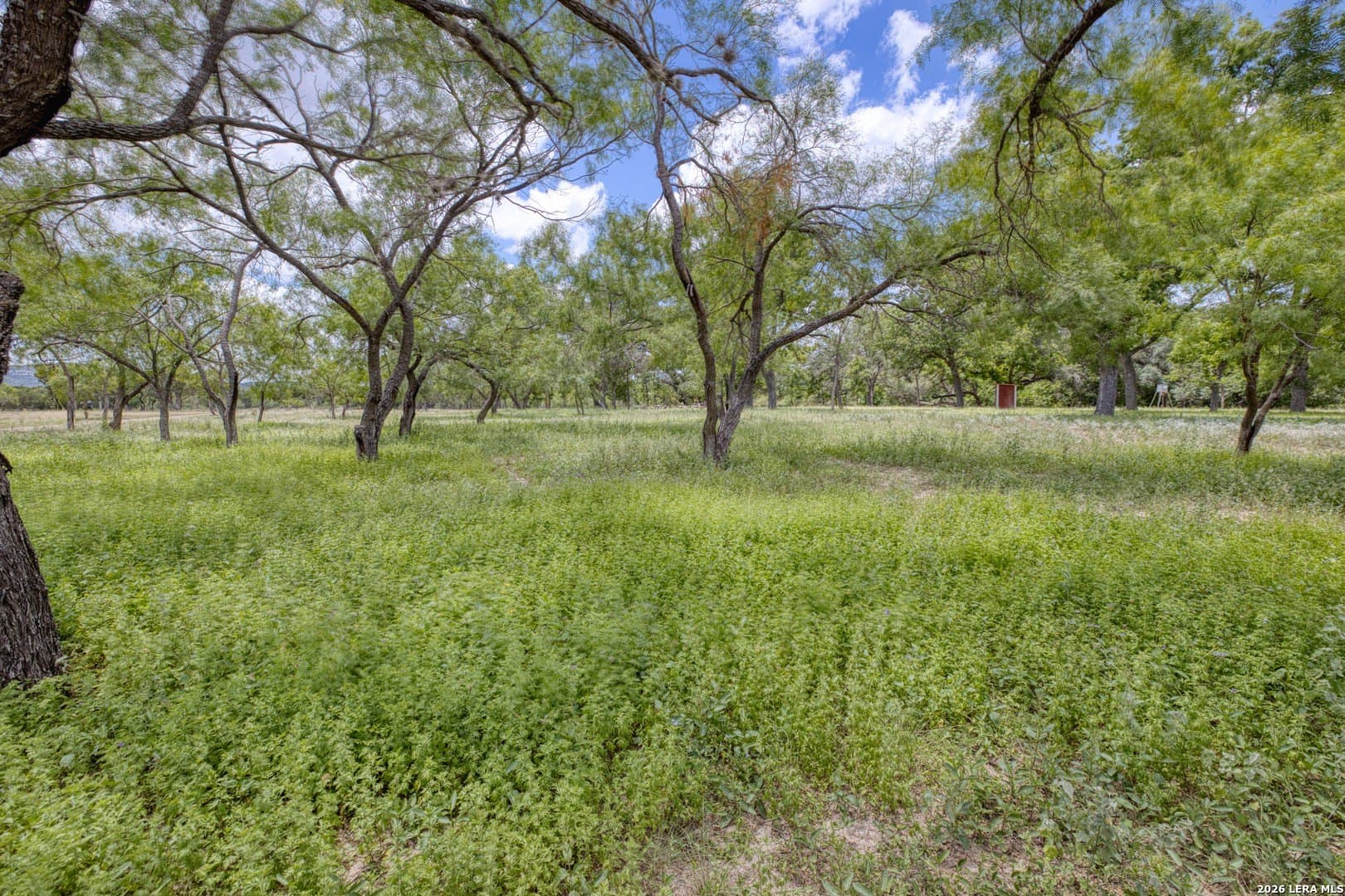 6.44 acres in Edwards County - photo 20