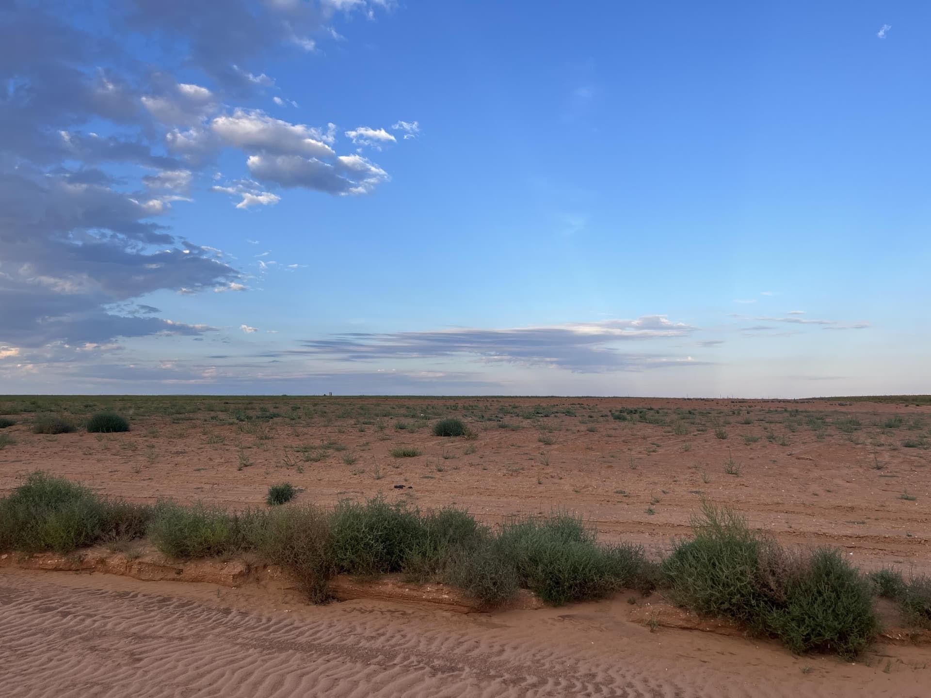 165 acres in Dawson County