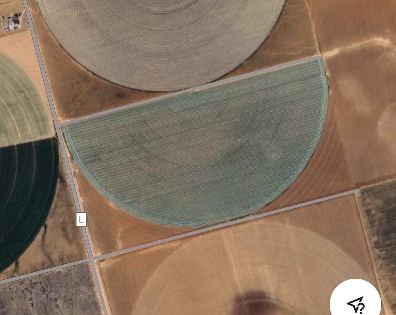 165 acres in Dawson County gallery image 2