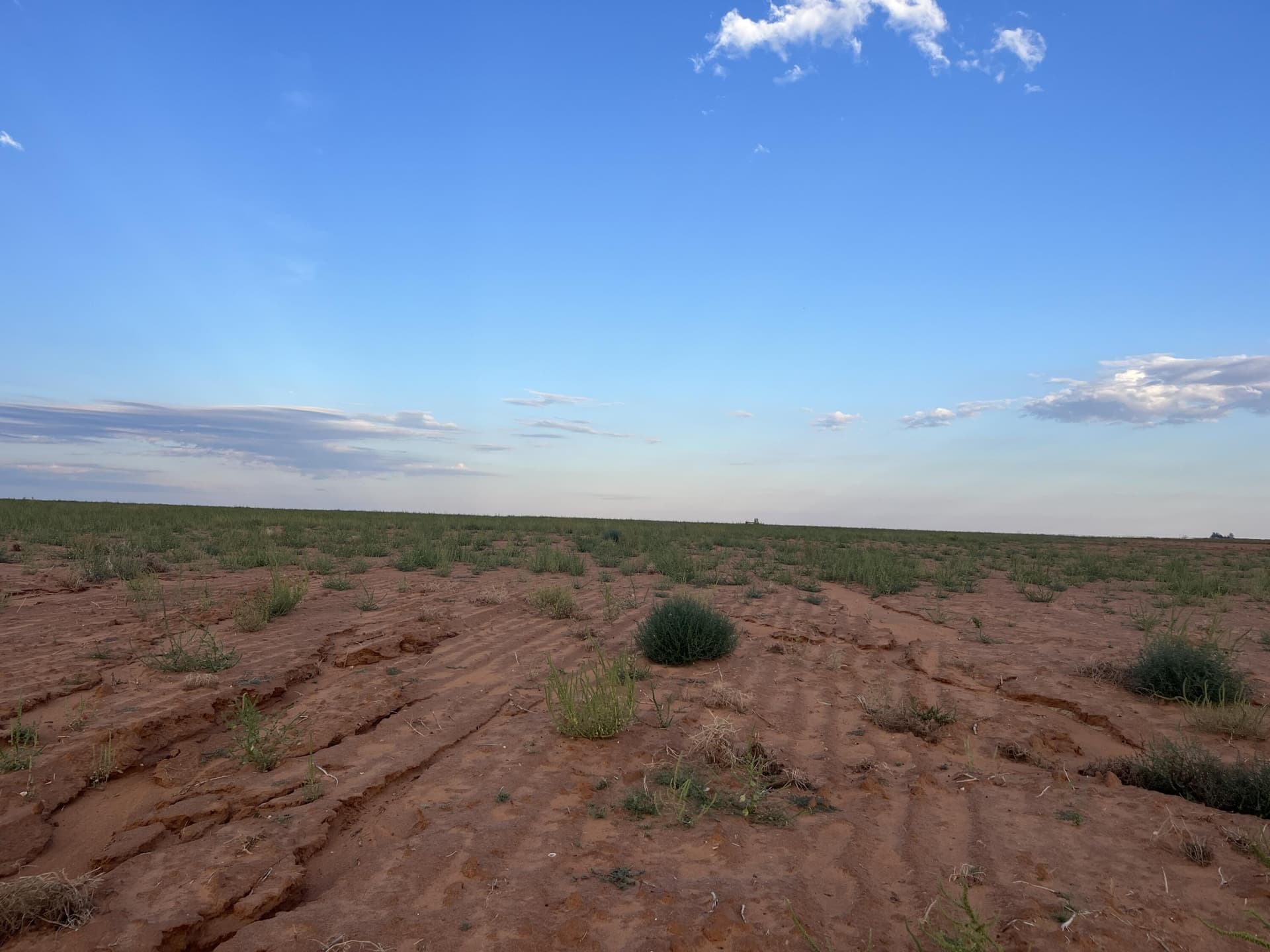 165 acres in Dawson County gallery image 4