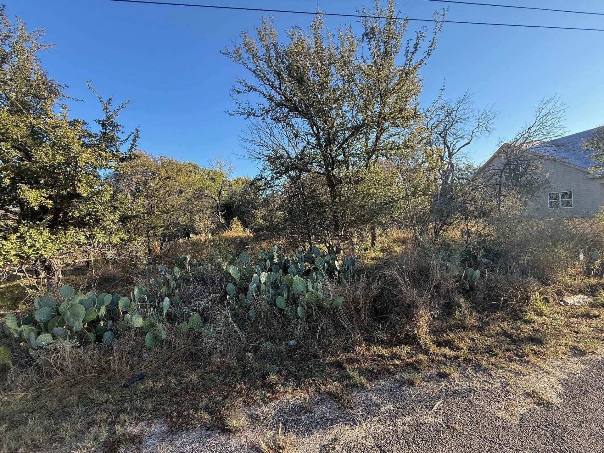 0.22 acres in Burnet County gallery image 3