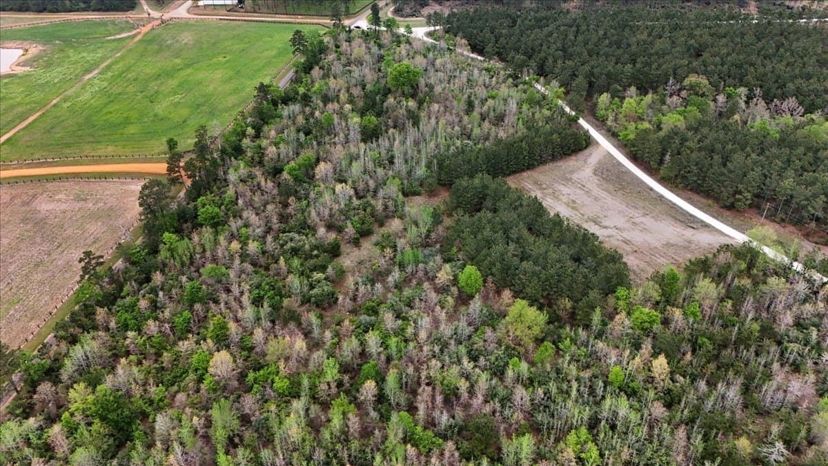 10.16 acres in Nacogdoches County - photo 9