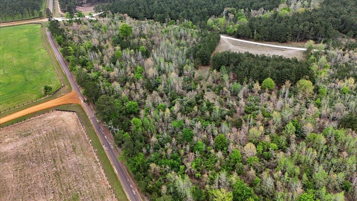 10.16 acres in Nacogdoches County - photo 8