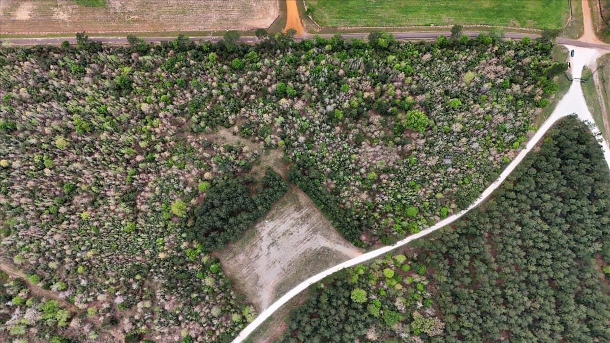 10.16 acres in Nacogdoches County - photo 12