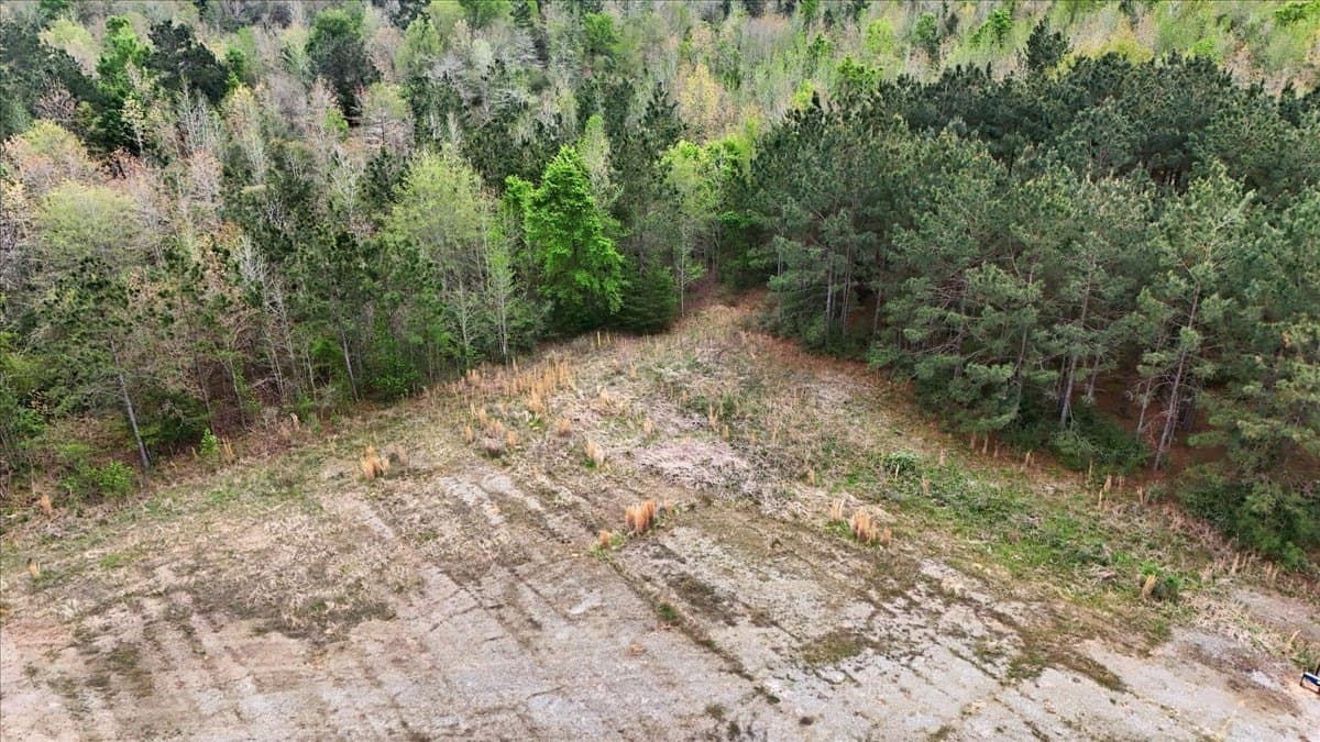 10.16 acres in Nacogdoches County - photo 4