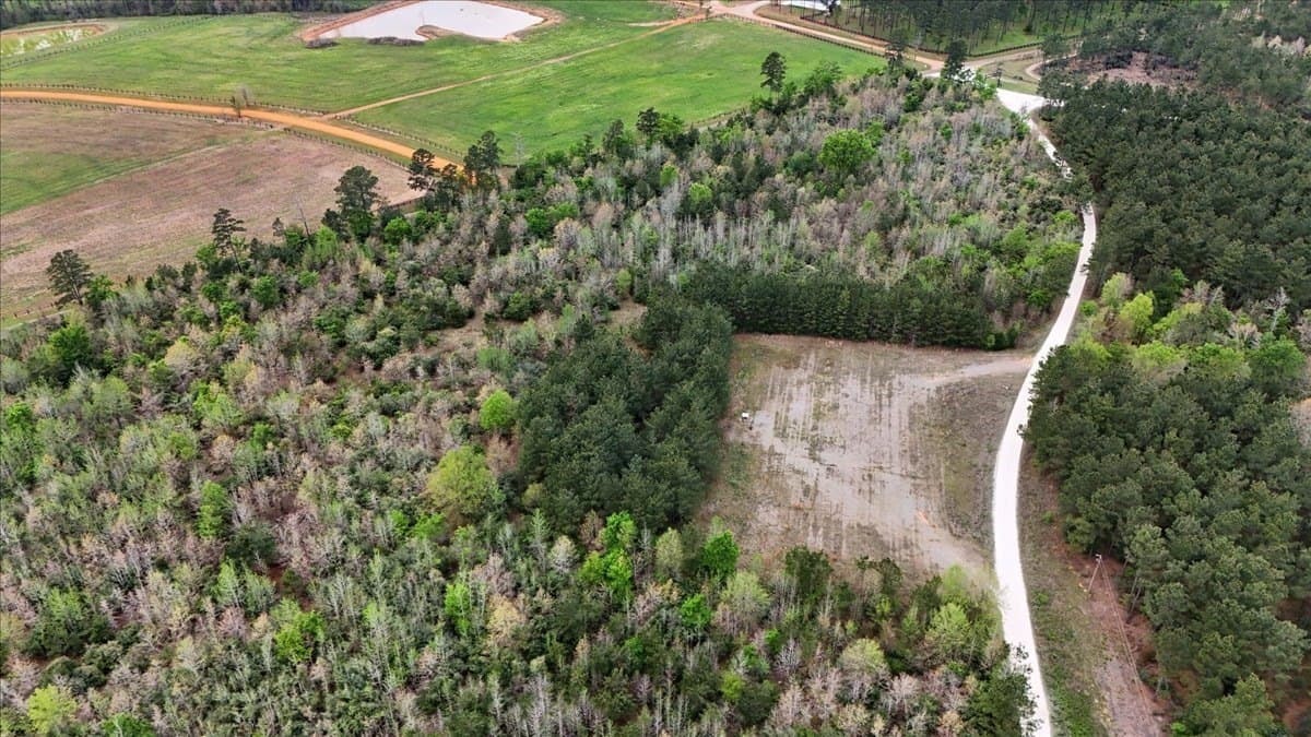 10.16 acres in Nacogdoches County - photo 10