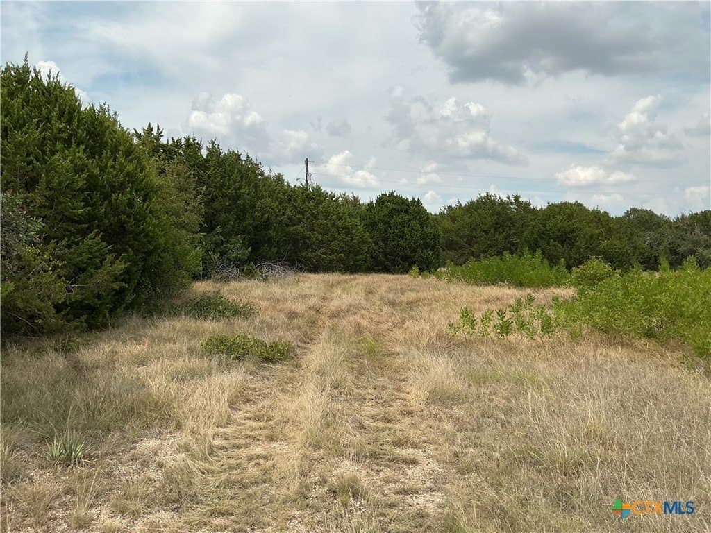 4 acres in Bell County - photo 9
