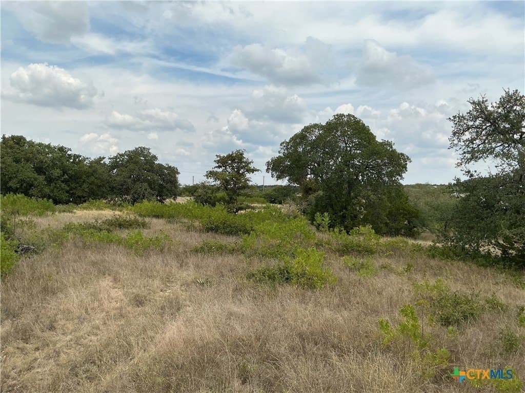 4 acres in Bell County - photo 19