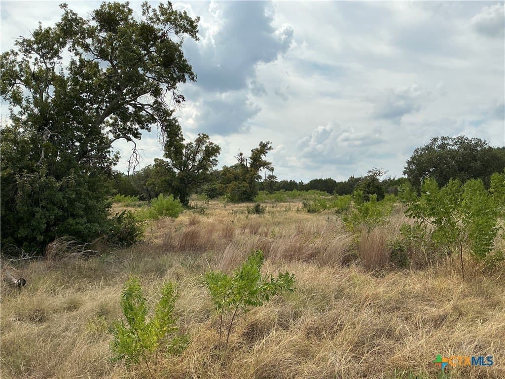 4 acres in Bell County - photo 4
