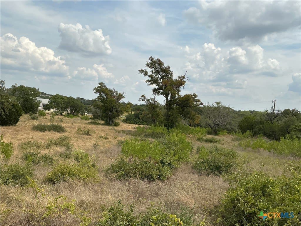 4 acres in Bell County - photo 11