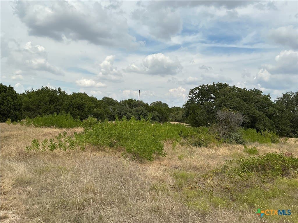 4 acres in Bell County - photo 17