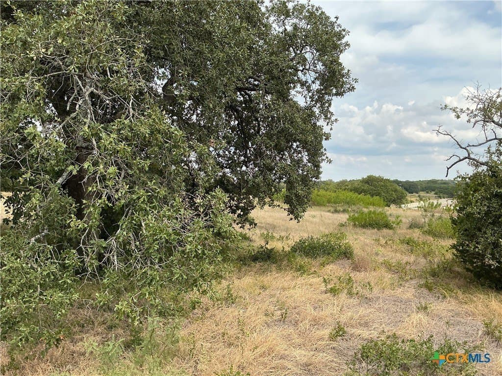 4 acres in Bell County - photo 10