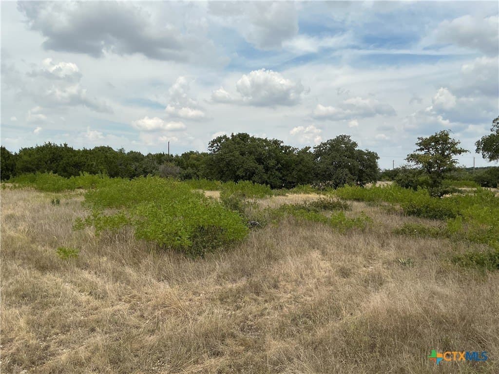 4 acres in Bell County - photo 14