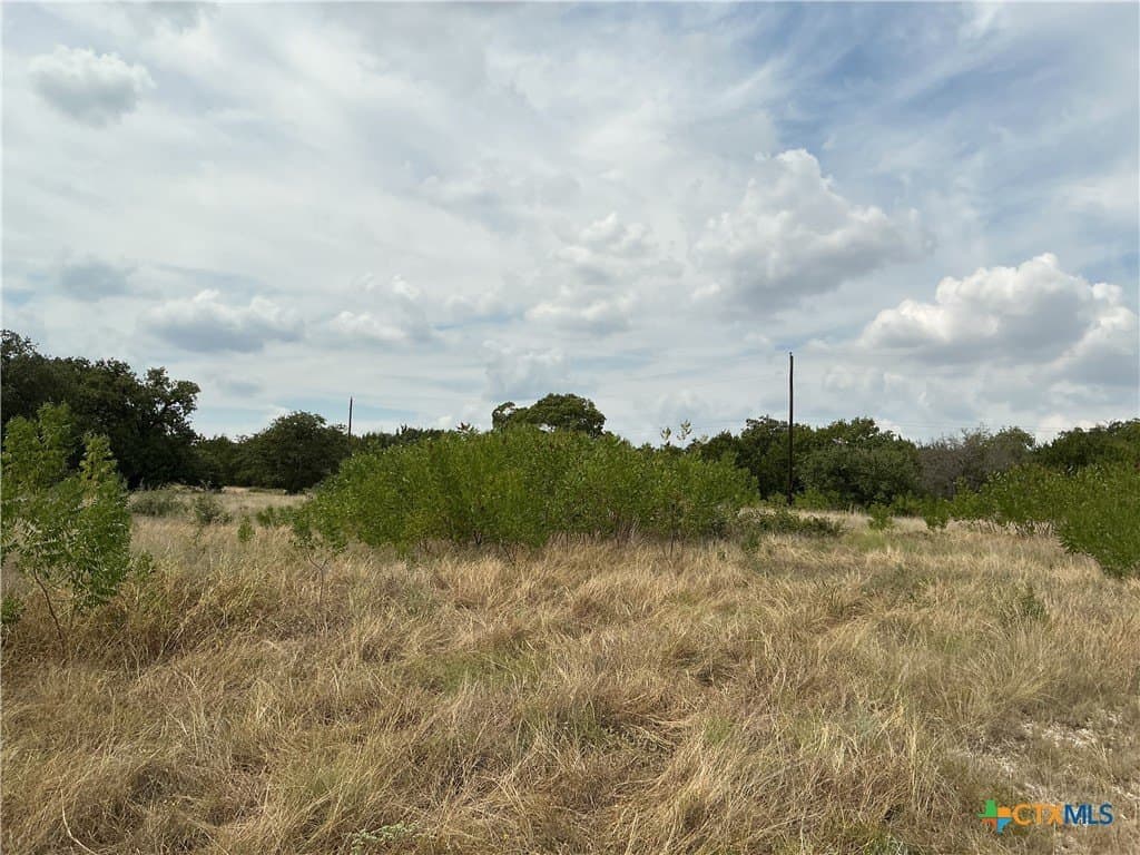 4 acres in Bell County - photo 6
