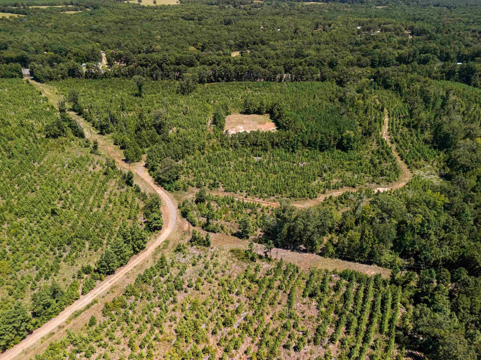 100.72 acres in Texas County - photo 8