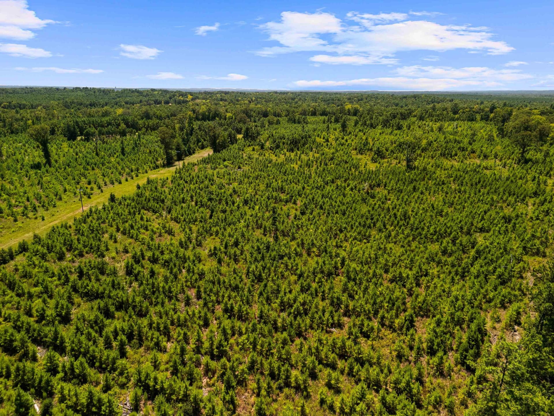 100.72 acres in Texas County - photo 13