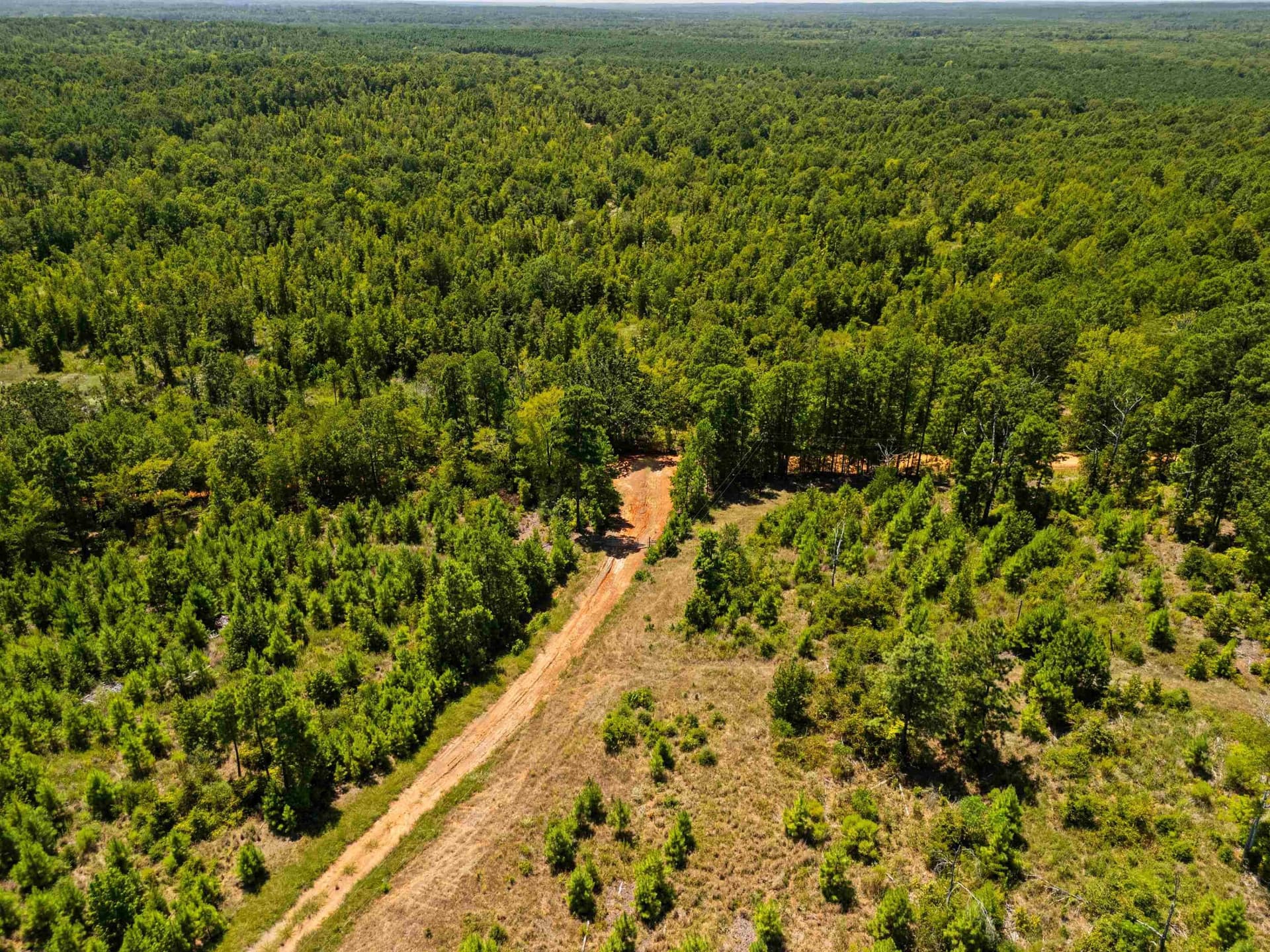 100.72 acres in Texas County - photo 16