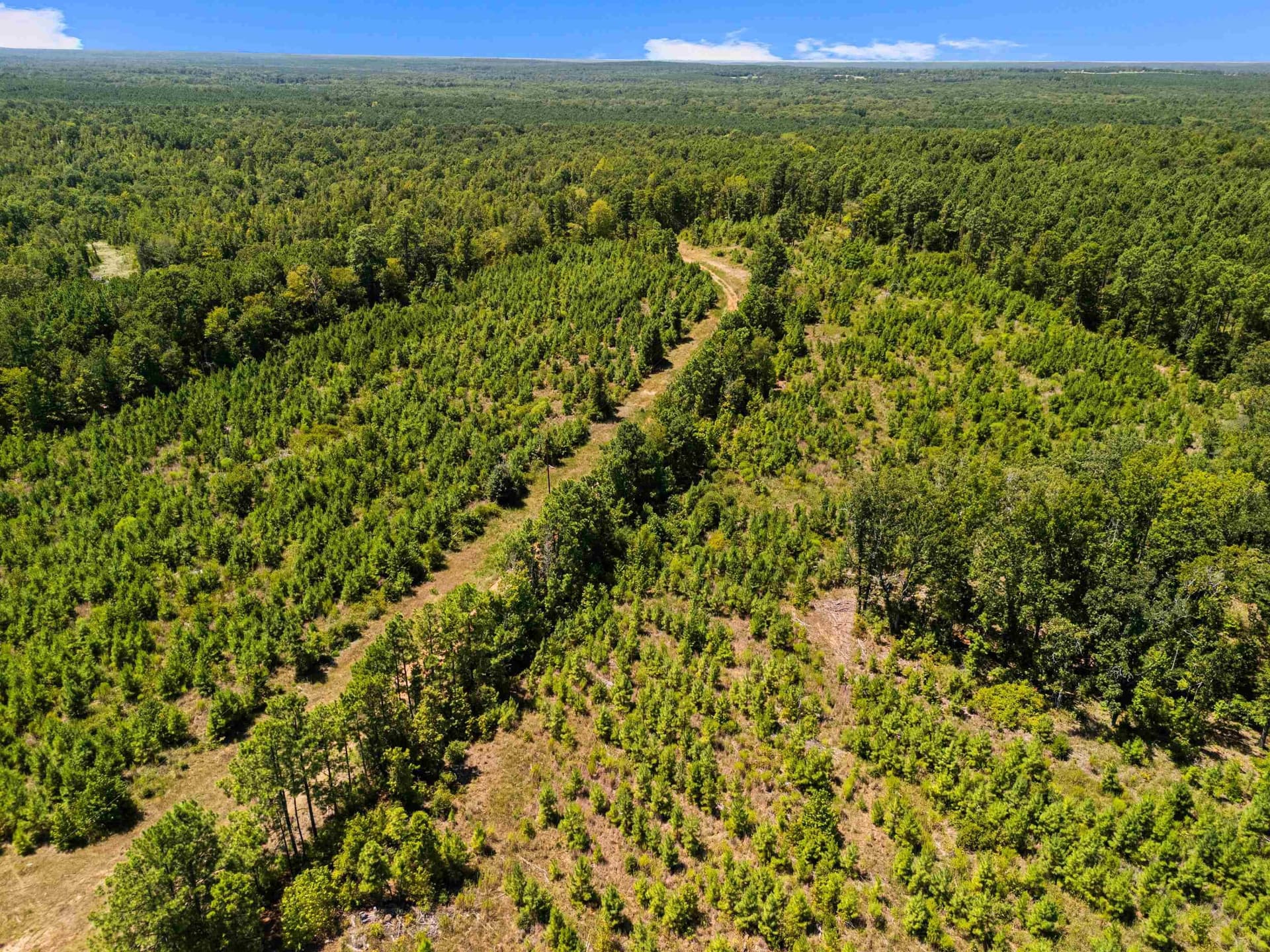100.72 acres in Texas County - photo 15